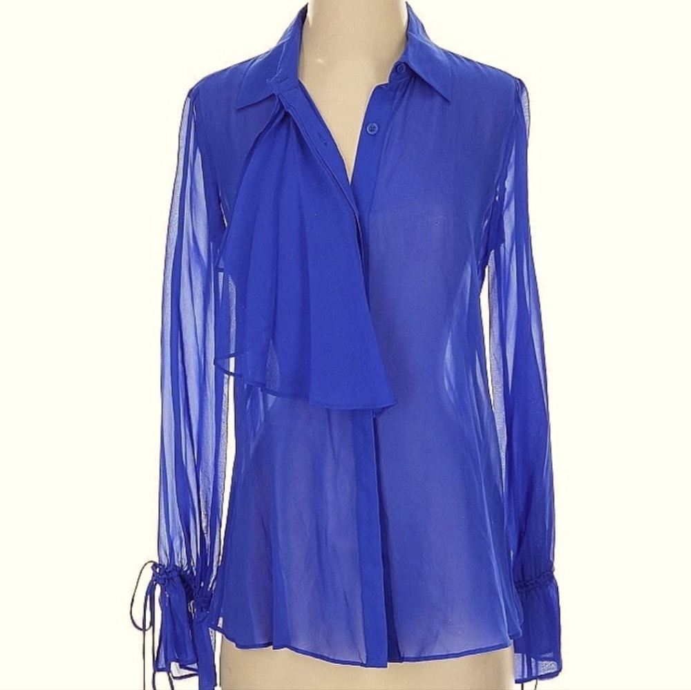 Sheer Silk Blouse
